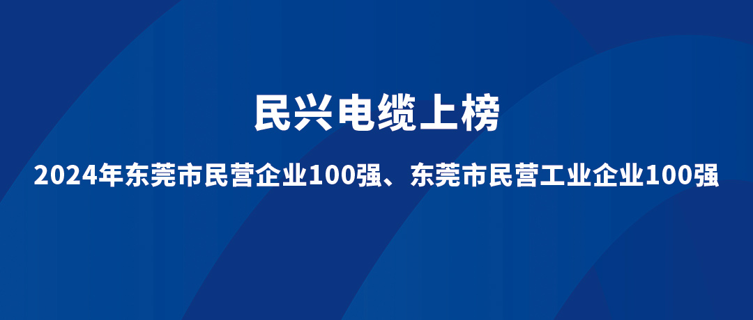 民興位列第15位！2024年東莞市民營工業(yè)企業(yè)100強(qiáng)榜單發(fā)布
