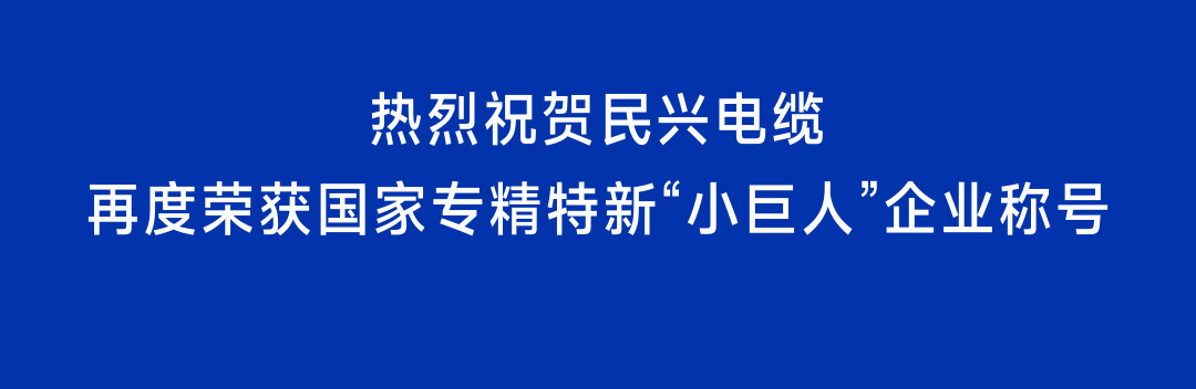 再獲國家級認定！民興電纜蟬聯(lián)國家專精特新“小巨人”企業(yè)稱號